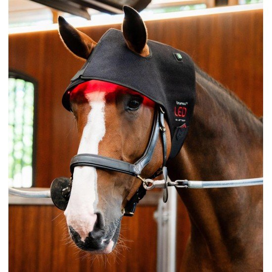 Ковпак терапевтичний LED Red Light від Horseware