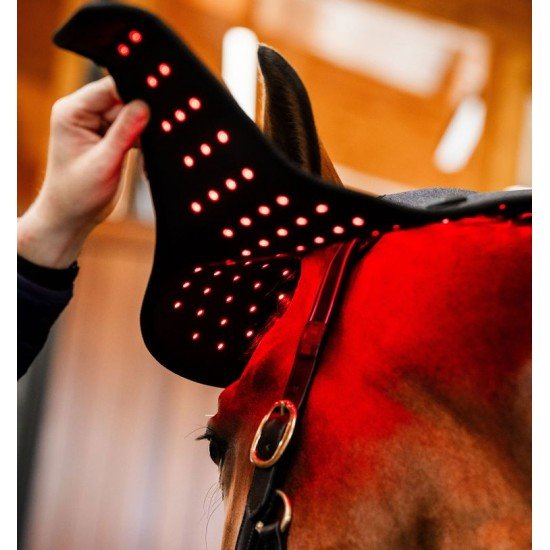 Ковпак терапевтичний LED Red Light від Horseware