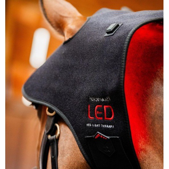 Ковпак терапевтичний LED Red Light від Horseware