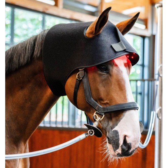 Ковпак терапевтичний LED Red Light від Horseware