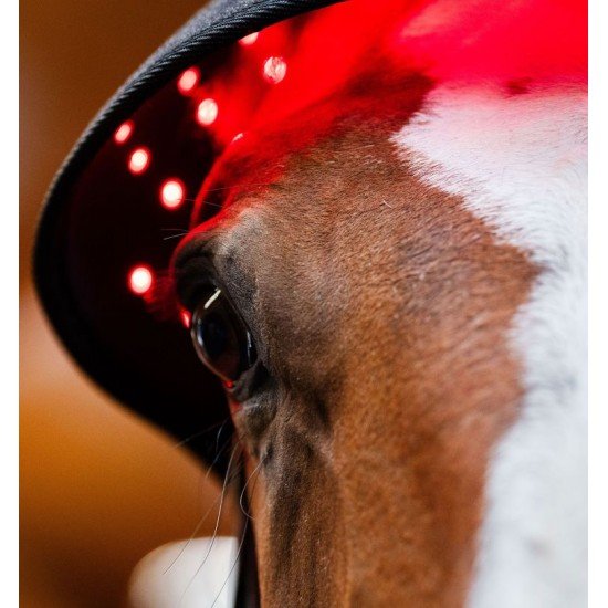 Ковпак терапевтичний LED Red Light від Horseware