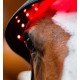 Ковпак терапевтичний LED Red Light від Horseware