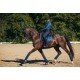 Кобури для ніг коня Monaco Blue, Equestrian Stockholm