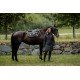 Пальто жіноче зимове з капюшоном Denali Dark Sky від Equestrian Stockholm