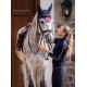 Гольф жіночий Fine Knit від Equestrian Stockholm