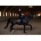 Кофта жіноча Fleece jacket від Equestrian Stockholm Mahogany Glimmer