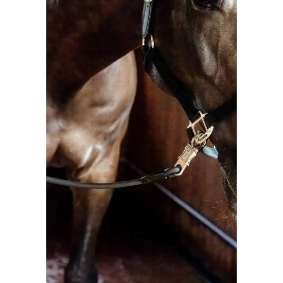 Разв’язка Horse Box & Cross Ties від Kentucky