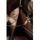 Разв’язка Horse Box & Cross Ties від Kentucky