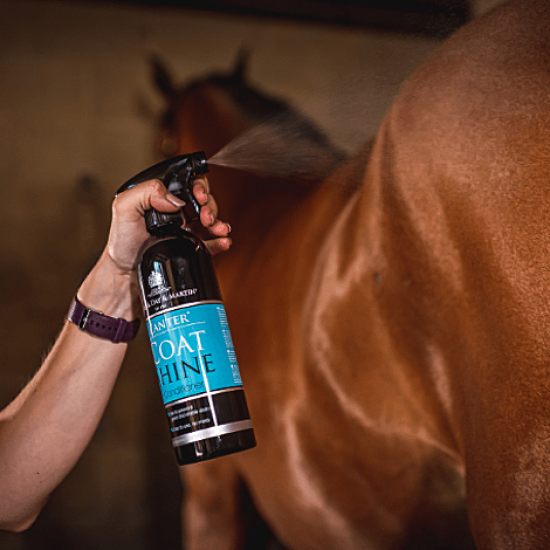 Кондиціонер-спрей, що запобігає появі плям Canter Coat Shine Conditioner від Carr&Day&Martin