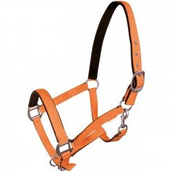 Недовуздок Fluo York