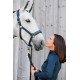 Недоуздок Double Pin Glossy Crystal Platinum 24, Eskadron