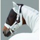 Недовуздок з неопреном Cord Doublepin Classic Sports від Eskadron