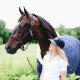 Недовуздок зі шкірою Plaited Nylon від Kentucky
