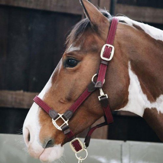 Недовуздок зі шкірою Plaited Nylon від Kentucky
