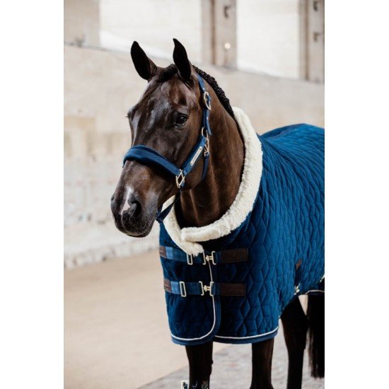 Недовуздок Velvet від Kentucky