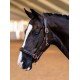 Недоуздок кожаный Anatomic Leather Moonless Night, Equestrian Stockholm