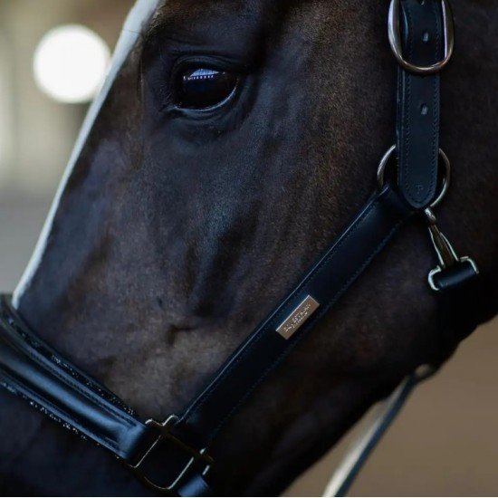 Недоуздок Anatomic Leather Black Edition, Equestrian Stockholm