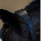 Недоуздок Anatomic Leather Black Edition, Equestrian Stockholm