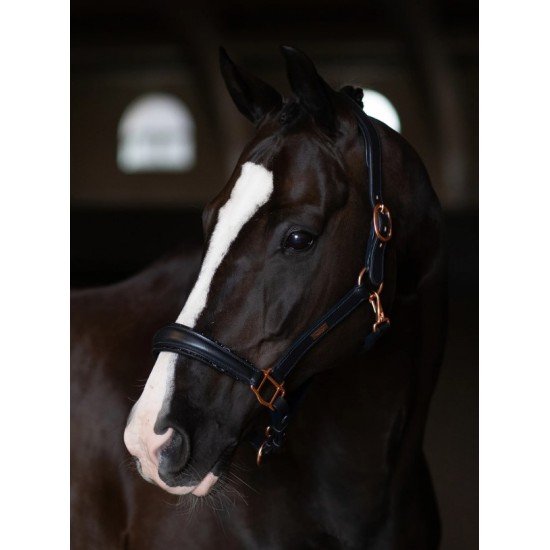 Недоуздок анатомічний шкіряний Dark Ocean, Equestrian Stockholm
