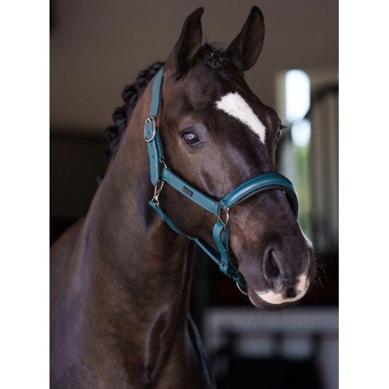 Недоуздок анатомічний шкіряний Teal Blue, Equestrian Stockholm