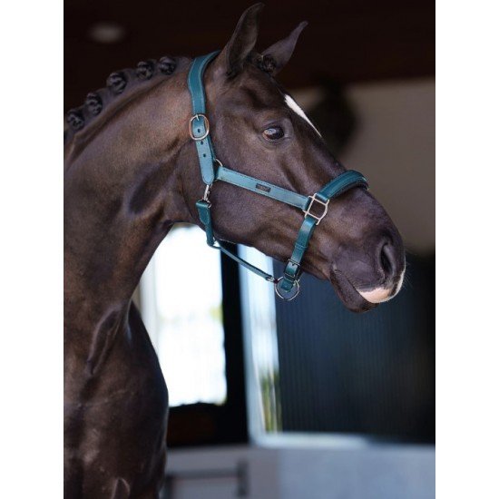 Недоуздок анатомічний шкіряний Teal Blue, Equestrian Stockholm