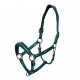 Недоуздок анатомічний шкіряний Teal Blue, Equestrian Stockholm