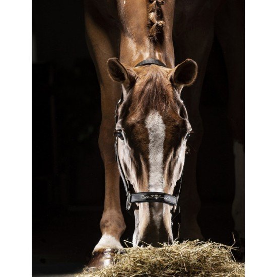 Недоуздок Capezza, Equiline