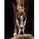 Недоуздок Capezza, Equiline