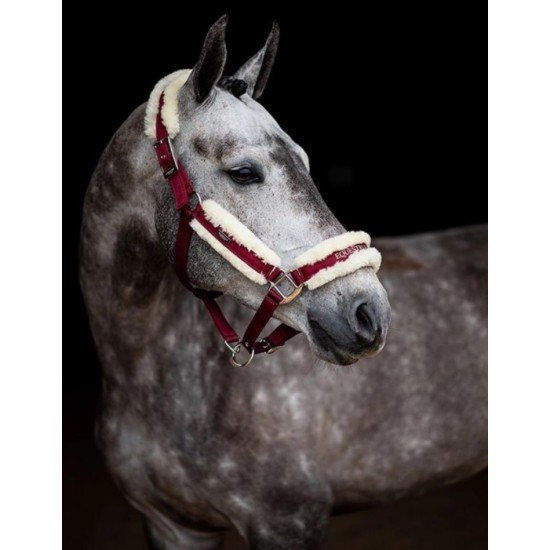 Недоуздок хутровий PONY з чомбуром Bordeaux, Equestrian Stockholm