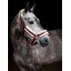 Недоуздок хутровий PONY з чомбуром Bordeaux, Equestrian Stockholm