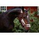 Недоуздок хутровий PONY з чомбуром Bordeaux, Equestrian Stockholm