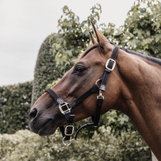 Недовуздок зі шкірою Plaited Nylon від Kentucky