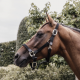 Недовуздок зі шкірою Plaited Nylon від Kentucky
