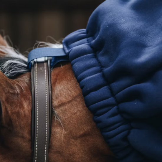 Капор Horse Scarf для коня від Kentucky