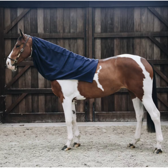 Капор Horse Scarf для коня від Kentucky