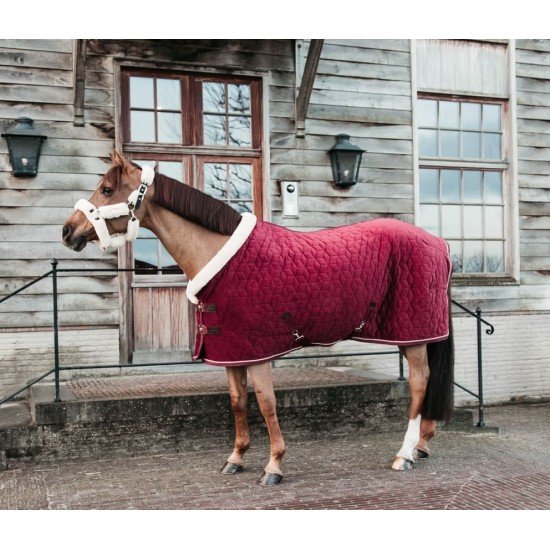 Попона Kentucky Show Rug Velvet