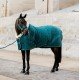 Попона Kentucky Show Rug Velvet
