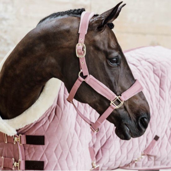 Попона Kentucky Show Rug Velvet