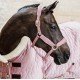 Попона Kentucky Show Rug Velvet