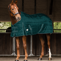 Попона денникова Economic 200, Waldhausen