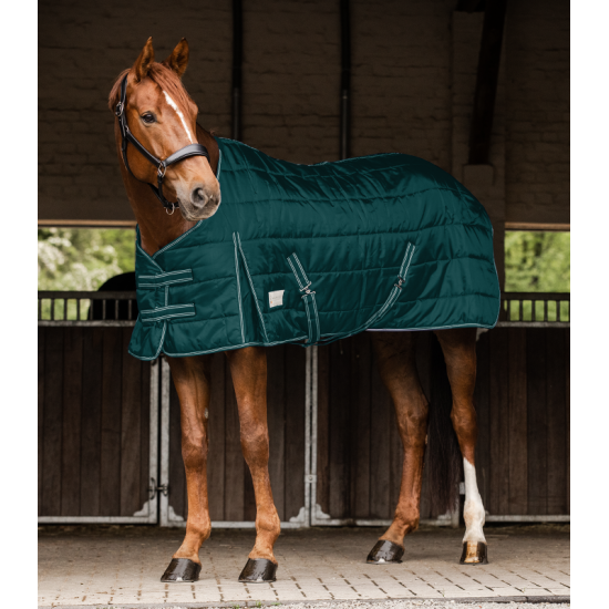 Попона денникова Economic 100, Waldhausen