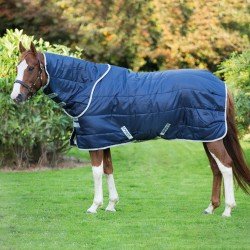 Попона денникова з капором Amigo Insulator Med 210D Ripstop 200 г від Horseware