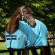 Попона денниковая Amigo X Sur Poly от Horseware