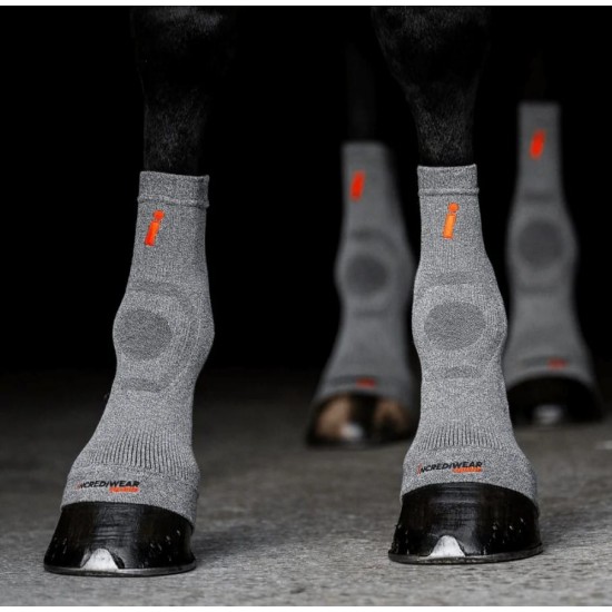 Шкарпетки для сухожилля Circulation Socks від Incrediwear Equine