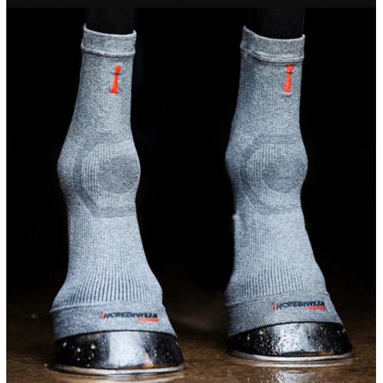 Шкарпетки для сухожилля Circulation Socks від Incrediwear Equine