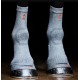 Шкарпетки для сухожилля Circulation Socks від Incrediwear Equine