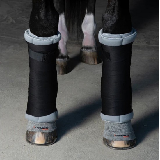 Шкарпетки для сухожилля Circulation Socks від Incrediwear Equine