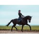 Бинти для ніг коня флісові 4 шт Black Edition, Equestrian Stockholm