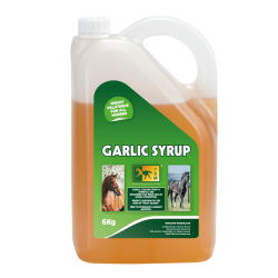 Сироп чесночный с глюкозой Garlic Syrup от TRM, 6 кг. Сироп чесночный с глюкозой Garlic Syrup от TRM, 6 кг.