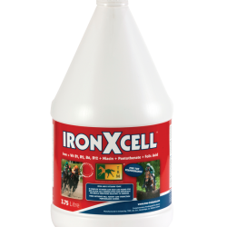 Добавка енергетична із залізом та вітамінами групи В IRONXCELL від TRM